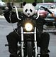 Chengdu Rider Community