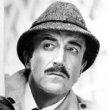 Inspector Clouseau's Avatar